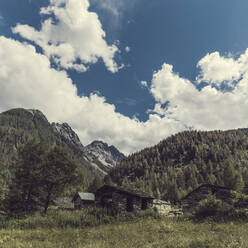 Steinhäuser im bewaldeten Valmalenco-Tal - DWIF01120