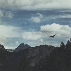 Bird flying over peaks surrounding Valmalenco valley - DWIF01125