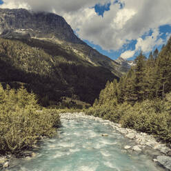 Der Fluss fließt im Frühling durch das Valmalenco-Tal - DWIF01126