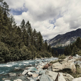 Der Fluss fließt im Frühling durch das Valmalenco-Tal - DWIF01127