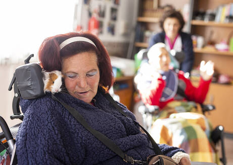 Ältere behinderte Frau mit Meerschweinchen im Rollstuhl sitzend im Rehabilitationszentrum - LJF02007