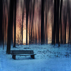 Bench covered with snow against tree silhouette during sunset - DWIF01141