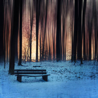 Bank mit Schnee bedeckt gegen Baumsilhouette bei Sonnenuntergang - DWIF01141