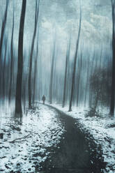 Man walking on forest path in snow - DWIF01144