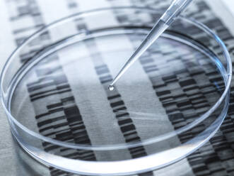 Experiment on DNA sample in petri dish with DNA results in background - ABRF00811