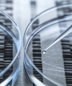 Pipettieren einer DNA-Probe in eine Petrischale mit DNA-Saugerergebnissen im Hintergrund - ABRF00812