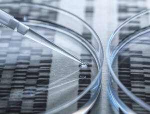 Untersuchung einer DNA-Probe in einer Petrischale mit DNA-Testergebnissen im Hintergrund - ABRF00813