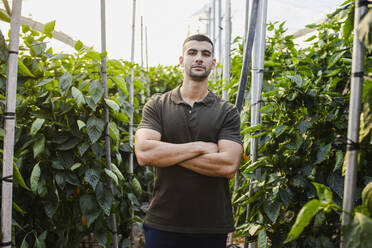 Confident young male farmer standing with arms crossed amidst plants at farm - MIMFF00352