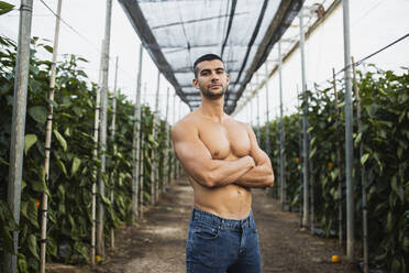 Junger Mann ohne Hemd steht mit verschränkten Armen in einer Allee inmitten von Pflanzen im Gewächshaus - MIMFF00365