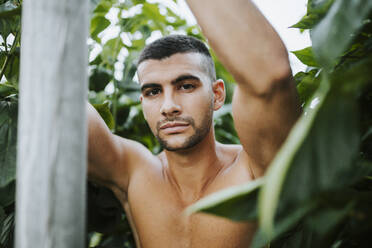 Junger Mann ohne Hemd inmitten von Pflanzen auf einem Bio-Bauernhof - MIMFF00371