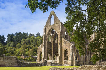 Tintern Abbey, Tintern, Wye Valley, Monmouthshire, Wales, Vereinigtes Königreich, Europa - RHPLF18526