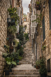 Kroatien, Dubrovnik, Stufen und Pflanzen in einer engen Gasse in der Altstadt - MSUF00401