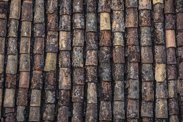 Old roof tiles - MSUF00407