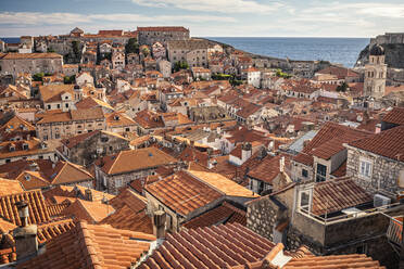 Croatia, Dubrovnik, Old town buildings with orange rooftops with sea in distance - MSUF00409