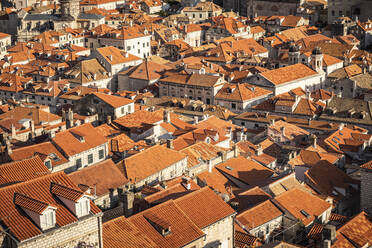 Kroatien, Dubrovnik, Altstadtgebäude mit orangefarbenen Dächern - MSUF00412