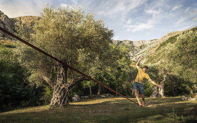 Mann läuft auf Slackline zwischen alten Olivenbäumen in Landschaft - MSUF00414