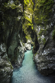 Schlucht mit türkisfarbenem Fluss - MSUF00440