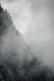Wolken über bewaldetem Berg - MSUF00446