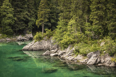 Turquoise lake and forest - MSUF00476
