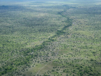 Luftaufnahme eines Wasserlaufs in den Serengeti-Ebenen, Serengeti-Nationalpark, UNESCO-Welterbe, Tansania, Ostafrika, Afrika - RHPLF18655