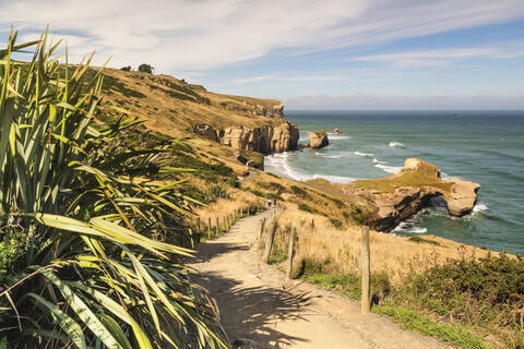 Hiking path to Tunnel Beach, Dunedin, Otago, South Island, New Zealand, Pacific stock photo