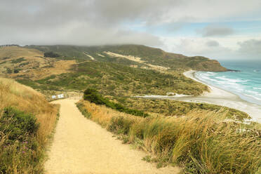 Sandfly Bay, Dunedin, Otago, Südinsel, Neuseeland, Pazifik - RHPLF18663