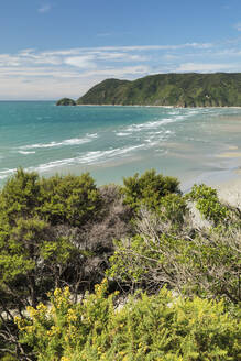 Wainui Bay, Golden Bay, Tasman, Südinsel, Neuseeland, Pazifik - RHPLF18676