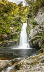 Wainui Falls, Wainui Falls Track, Golden Bay, Tasman, Südinsel, Neuseeland, Pazifik - RHPLF18678