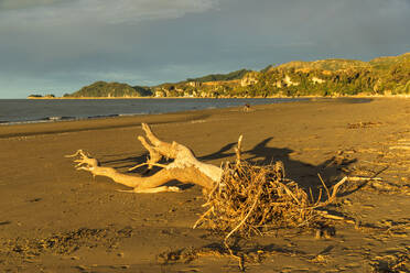 Sonnenuntergang am Pohara Beach, Golden Bay, Tasman, Südinsel, Neuseeland, Pazifik - RHPLF18681
