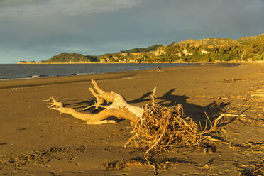 Sunset at Pohara Beach, Golden Bay, Tasman, South Island, New Zealand, Pacific - RHPLF18681