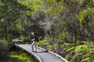 Hiking track to Te Waikoropupu Springs, Golden Bay, Tasman, South Island, New Zealand, Pacific - RHPLF18685