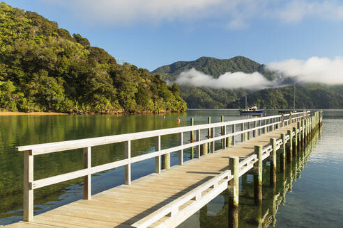 Ngakuta Bay, Marlborough Sounds, Picton, Südinsel, Neuseeland, Pazifik - RHPLF18696