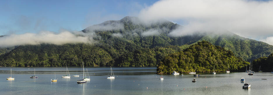 Segelboote in der Ngakuta Bay, Marlborough Sounds, Picton, Südinsel, Neuseeland, Pazifik - RHPLF18700