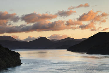 Queen Charlotte Sound at sunrise, Marlborough Sounds, Picton, South Island, New Zealand, Pacific - RHPLF18701