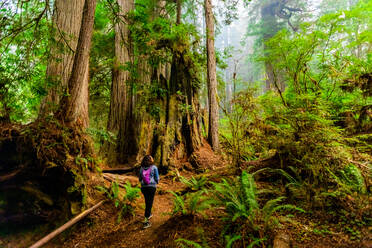 Woman exploring Mount Shasta Forest, California, United States of America, North America - RHPLF18732