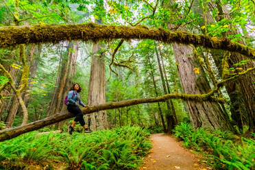 Frau erkundet Mount Shasta Forest, Kalifornien, Vereinigte Staaten von Amerika, Nordamerika - RHPLF18734