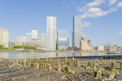 Canary Wharf und die Themse, Docklands, London, England, Vereinigtes Königreich, Europa - RHPLF18745