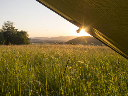 Wiese im Bayerischen Wald bei Sonnenuntergang - HUSF00155