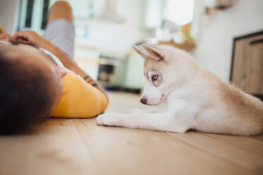 Mann liegt mit sibirischem Husky zu Hause auf dem Boden - MIMFF00377