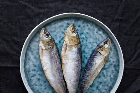 Top view of whole salted herring fish served on gray plate on table - ADSF19486