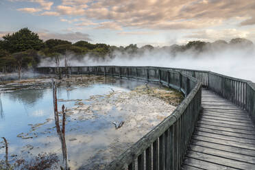 Kuirau Park, Geothermie, Rotorua, Bay of Plenty, Nordinsel, Neuseeland, Pazifik - RHPLF18907