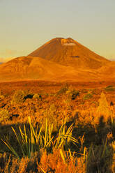 Mount Ngauruhoe bei Sonnenuntergang, Tongariro National Park, UNESCO Weltkulturerbe, Nordinsel, Neuseeland, Pazifik - RHPLF18913