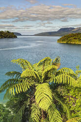Tarawera-See, Rotorua, Nordinsel, Neuseeland, Pazifik - RHPLF18925