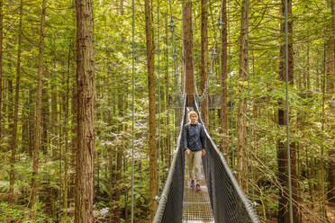 Redwood Treewalk, Canopy Pathway, Rotorua, Bay of Plenty, Nordinsel, Neuseeland, Pazifik - RHPLF18930