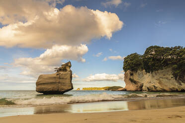 Beach of Mare's Leg Cove, Cathedral Cove Marine Reserve, Coromandel Peninsula, Waikato, North Island, New Zealand, Pacific - RHPLF18933