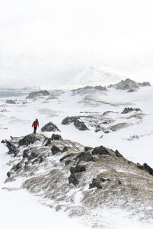 Wanderer, der während des arktischen Schneesturms auf Felsen läuft, Sandfjorden, Berlevag, Varanger-Halbinsel, Troms og Finnmark, Norwegen, Skandinavien, Europa - RHPLF18983