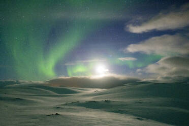 Snowy landscape lit by moon in the starry sky during the Northern Lights (Aurora Borealis), Skarsvag, Nordkapp, Troms og Finnmark, Norway, Scandinavia, Europe - RHPLF18986