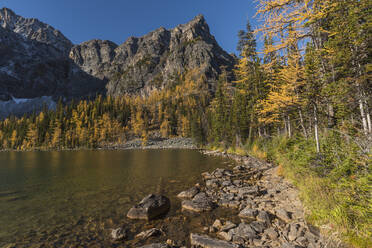 Arnika-See im Herbst mit Lärchen und Bergen, Banff National Park, UNESCO Weltkulturerbe, Alberta, Kanadische Rockies, Kanada, Nordamerika - RHPLF19044