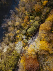 Luftaufnahme der Straße, die sich durch den Herbstwald zieht - KNTF06024