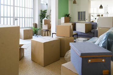 Cardboard boxes in new home during relocation - GIOF10332